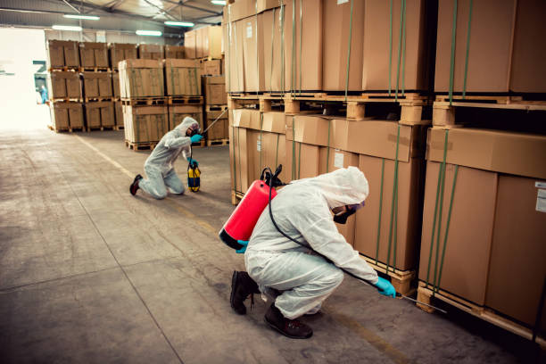 Best Emergency Pest Control  in Ceresco, NE