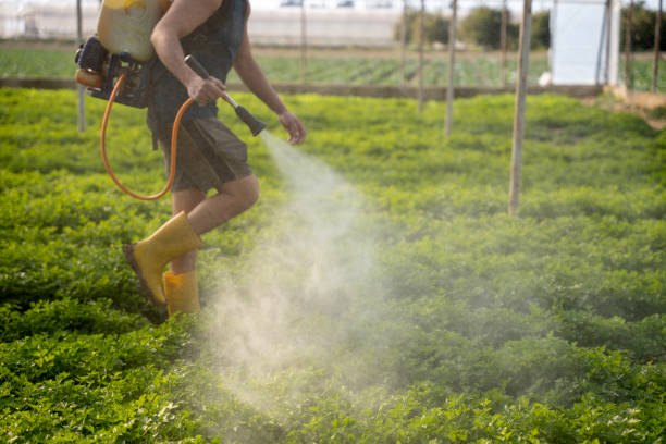Best Pest Prevention Services  in Ceresco, NE
