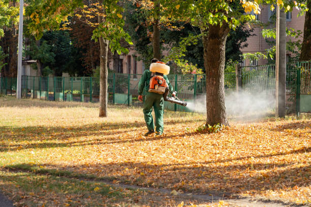 Reliable Ceresco, NE Pest Control Solutions