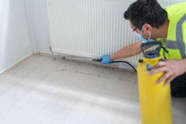 Best Pest Removal Services  in Ceresco, NE